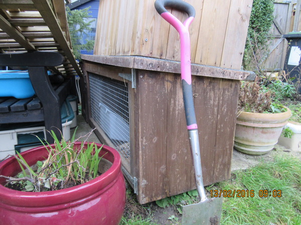 Would anyone like a large Forsham rabbit hutch? (Kent)