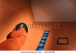 The Great Interior Design Challenge