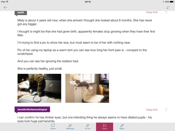 Second pictures not working on app