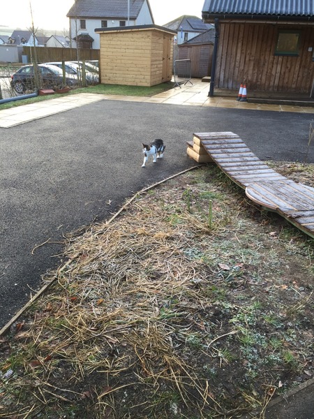 The worst thing about having a cat?