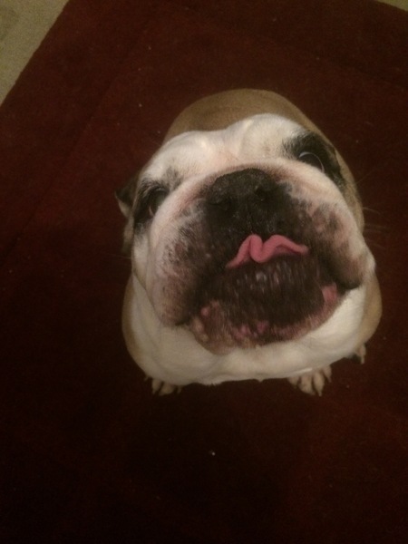 Photos that make you laugh