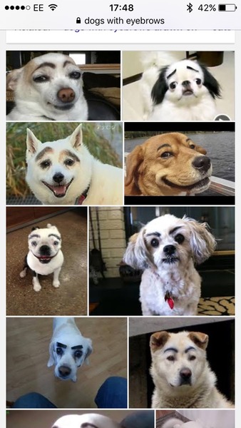 To be a bit baffled by the trend for eyebrows that announce their presence 3minutes before the rest of the face?