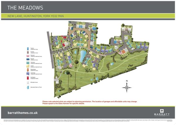 Landscaped vs wildflower meadow