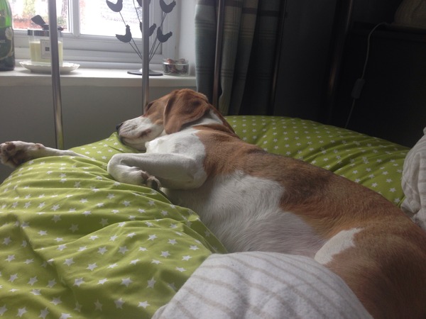 thread #2 - TTC#1 Grads, sick bags at the ready!