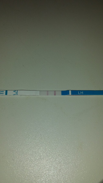 TTC after miscarriage - new thread