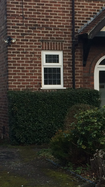 Removing a hedge close to house