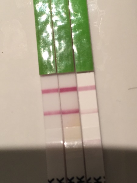 The craziness that is TTC after stopping the pill. On this thread we have 100 day cycles, do weeks of opks and send ovia into a fit with our ever changing fertile windows! Welcome.