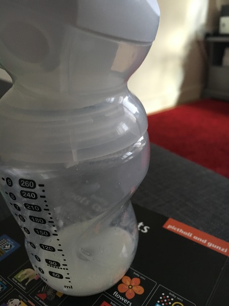 February 2016 - our babies are here!