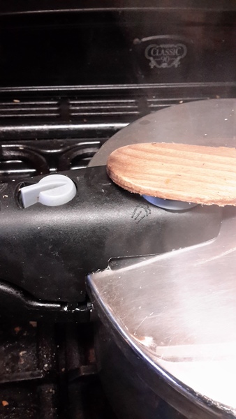 Fearless Frugaleers Finding Their Feet in February