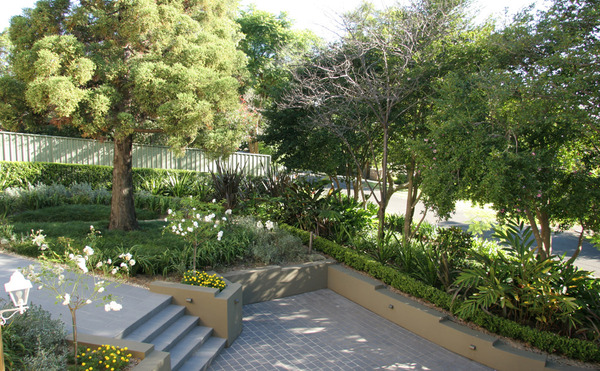 Putting really large trees in a medium sized garden