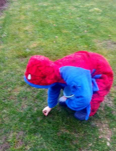 What makes a great Easter egg hunt? Share your tips and experiences with Cadbury and you could win a £200 Love2Shop voucher NOW CLOSED