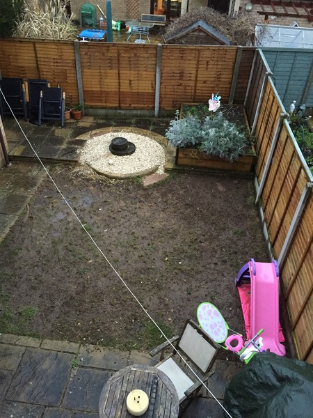lawn ruined - seed or returf?