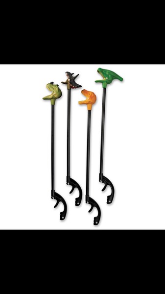 Fearless Frugaleers Finding Their Feet in February