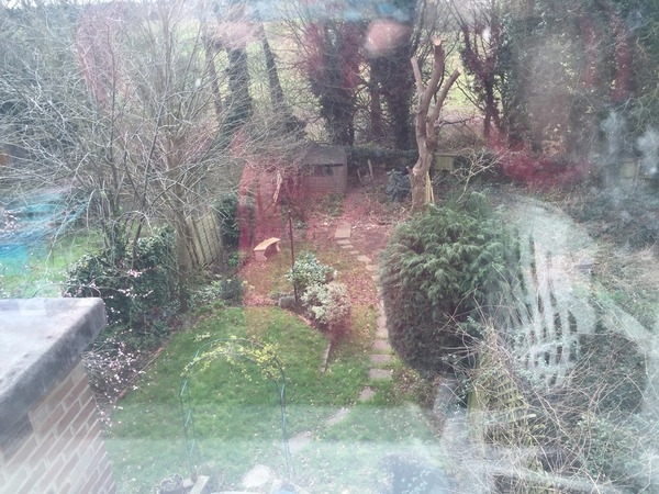 If this was your garden what would you do?