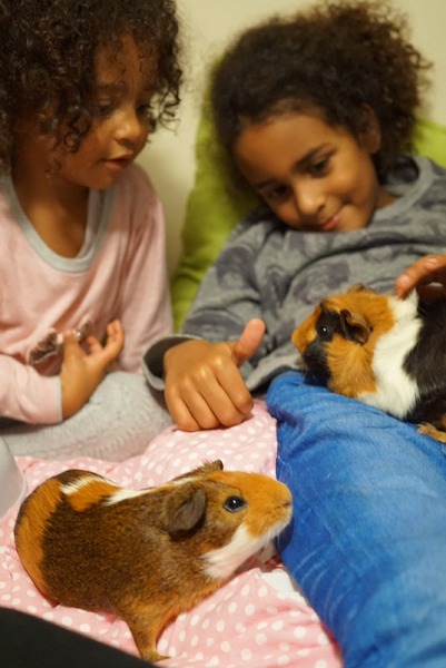 Tell us your stories about choosing a pet for a chance to win a £100 voucher for a pet shop of your choice