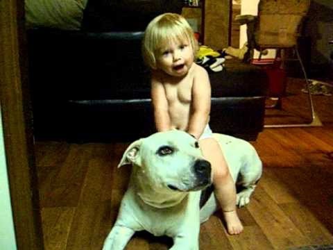 Our dog bit me :(