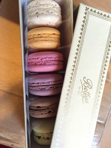 Mugabe Nights: sometimes you wanna go where everybody knows your (sleep deprived) pain!