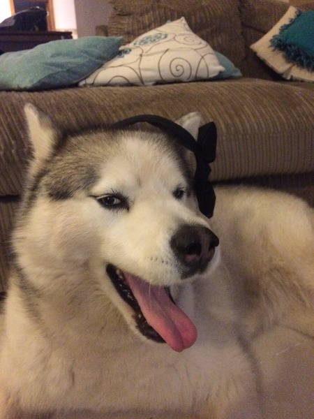 Photos that make you laugh