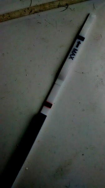 There's Chickens up Trees and BOGOF Deals from the Stork! We're Seeking out the Magic Potion whilst avoiding the Rogue Penis - Don't Flash your Cat, it's JS 57!