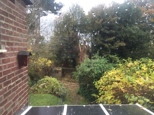 If this was your garden what would you do?