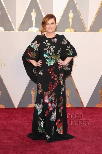 Oscar dresses 2016