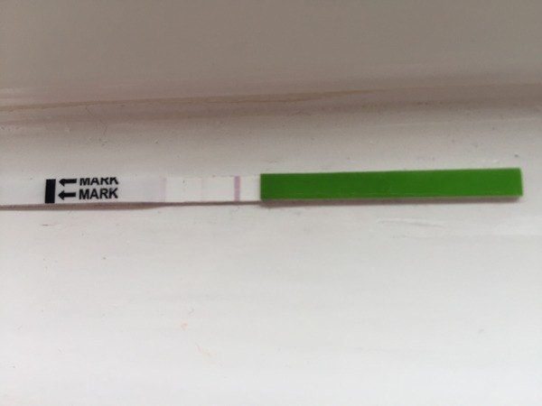 OPK, can someone help my understand how they work?