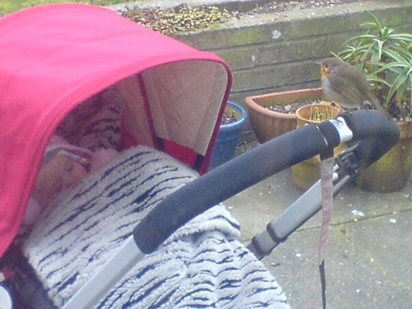 to leave my baby in the garden to sleep?