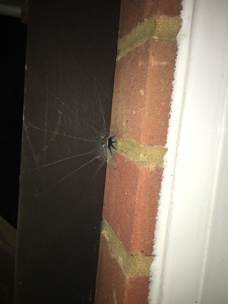 To want my front door back? **Warning: spider pictures from the outset!** title edited by MNHQ