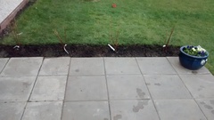 Allotment /Veg patch  thread 4 "Lettuce and Peppers and Pears OH MY!"