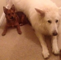 My boys