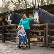 Win a family ticket to Chatsworth's 'Half Term at the Farmyard and Adventure Playground'