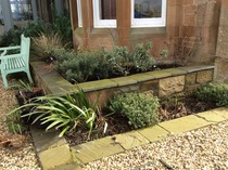 Landscaping a dark area - what would you do?