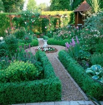 What can we do with this garden? (Photo included, I hope!)