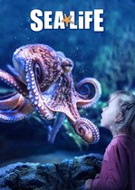 COMPETITION - WIN A FAMILY DAY OUT TO LEGOLAND® DISCOVERY CENTRE AND SEA LIFE MANCHESTER - NOW CLOSED -