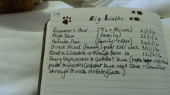 Bullet Journal
