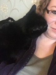 Miaowing constantly