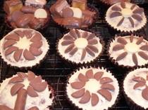 Cadbury Dairy Milk Mixed Buttons Tester Review Thread NOW CLOSED