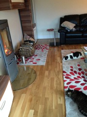 freestanding log burner