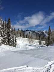 Happy Skiing Thread Part 2!!