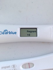home donor insemination eeeek!!