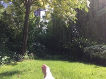 If this was your garden what would you do?