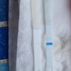 Evap line or BFP??
