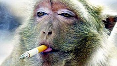 To think Oasis are; were and always will be, -  Shit.