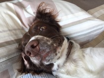 Photos that make you laugh