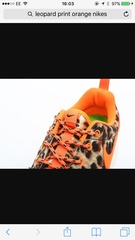 Please find me these trainers from my appalling description!