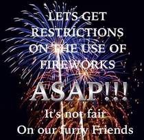 Please sign petition: Restrict the use of fireworks.