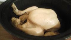 My Mnetted chicken