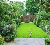 What can we do with this garden? (Photo included, I hope!)
