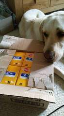 Photos that make you laugh
