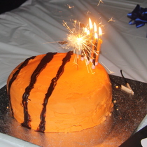 January 2013 - my do it on my own!